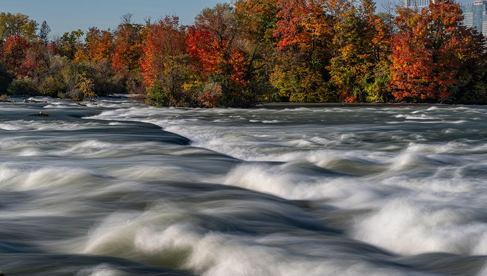 USA, New York. Niagara River, fall foliage and rapids, Niagara Falls State Park art print by Howie Garber for $57.95 CAD