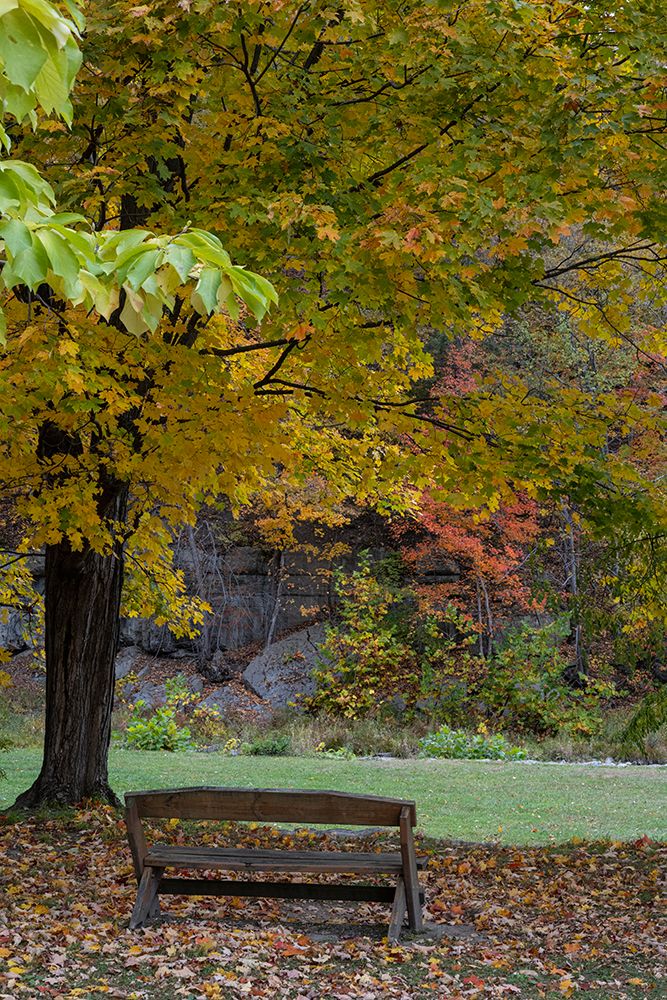 USA, New York. Park bench in Taughannock Falls State Park. art print by Howie Garber for $57.95 CAD