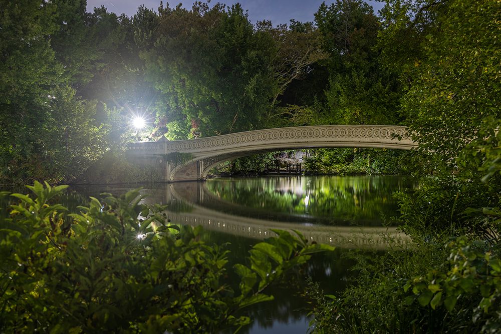 USA-New York Central Park art print by Hollice Looney for $57.95 CAD
