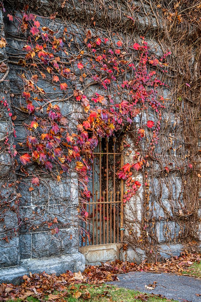 USA-Sleepy Hollow Sleepy Hollow Cemetery (PR) art print by Hollice Looney for $57.95 CAD