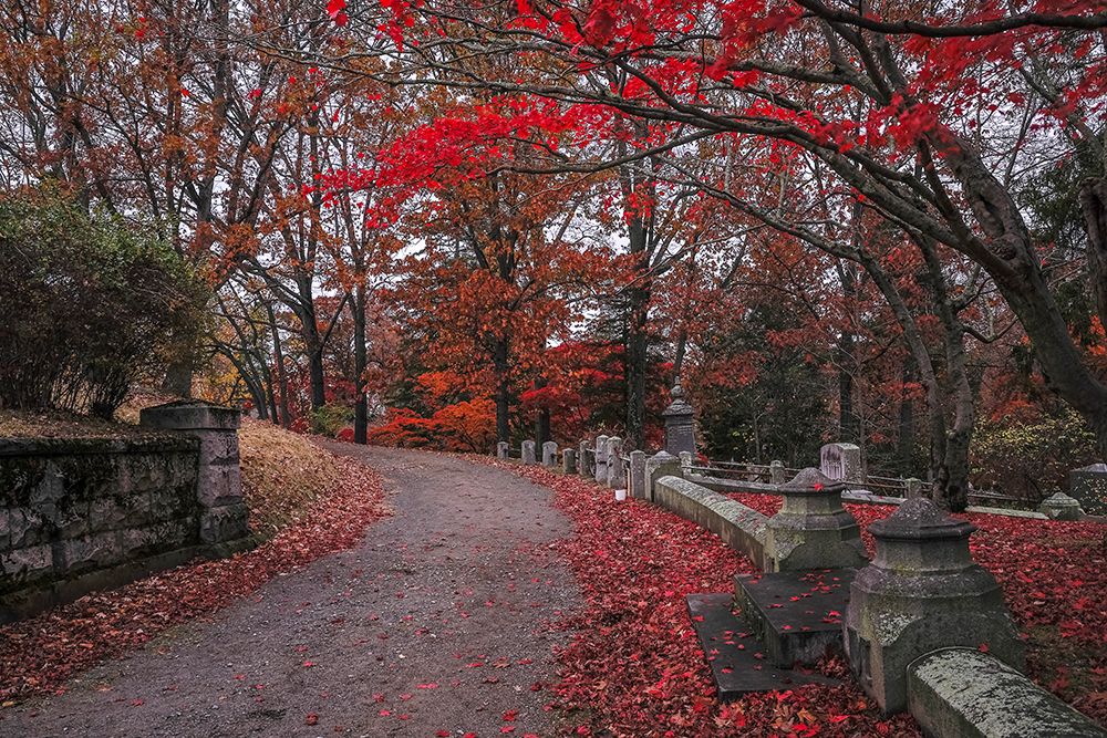 USA-Sleepy Hollow Sleepy Hollow Cemetery (PR) art print by Hollice Looney for $57.95 CAD