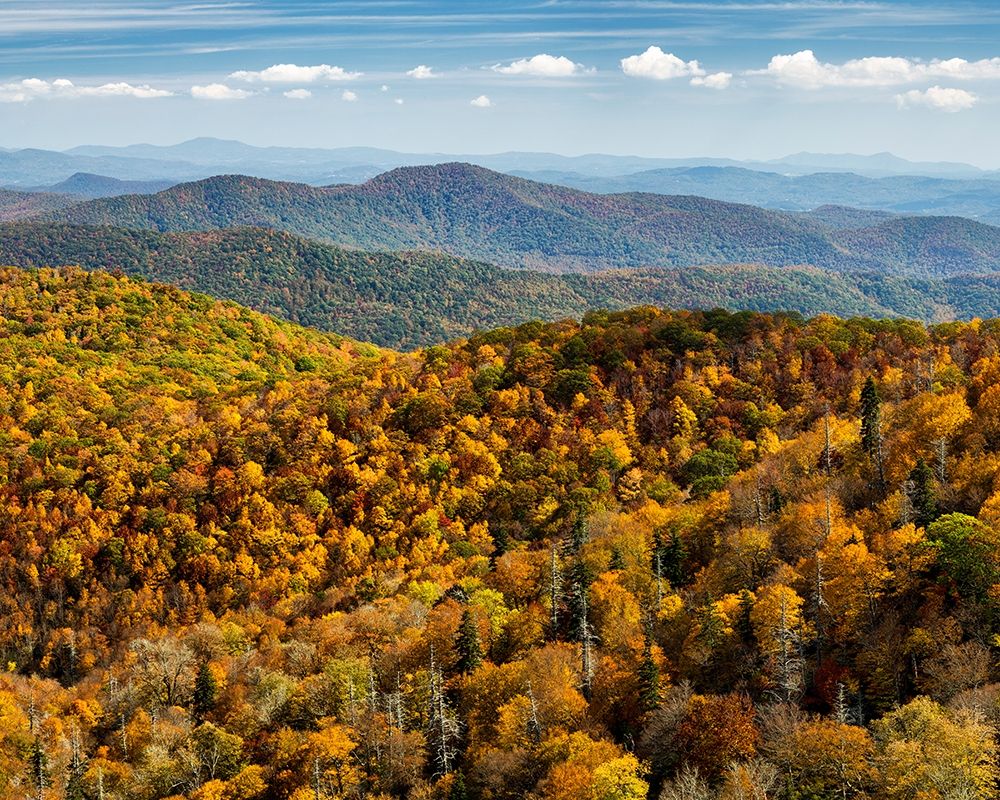 North Carolina-Pisgah National Forest-View from the Blue Ridge Parkways East Fork Overlook art print by Ann Collins for $57.95 CAD