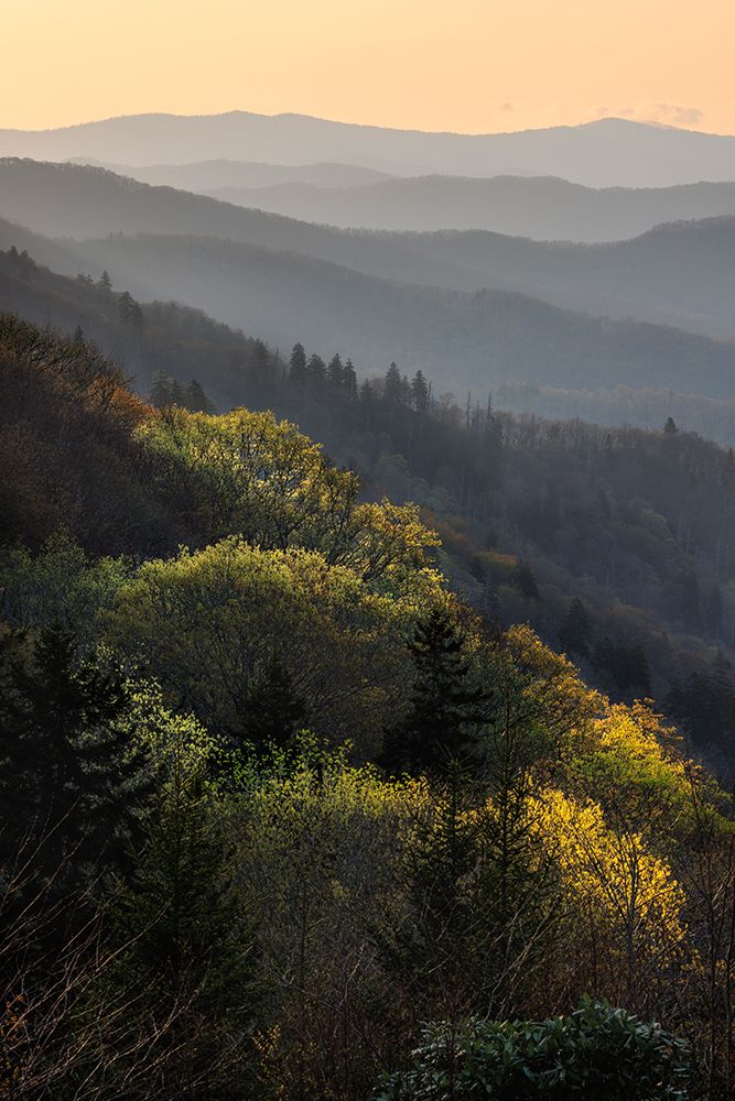 First light hitting mountain slope Oconaluftee valley-Great Smoky Mountains NP-NC art print by Adam Jones for $57.95 CAD