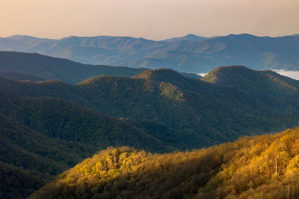 First light hitting mountain slope in Deep Creek Valley-Great Smoky Mountains NP-NC art print by Adam Jones for $57.95 CAD