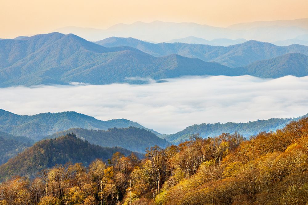 Spring morning and river of mist in Deep Creek Valley-Great Smoky Mountains NP-NC art print by Adam Jones for $57.95 CAD
