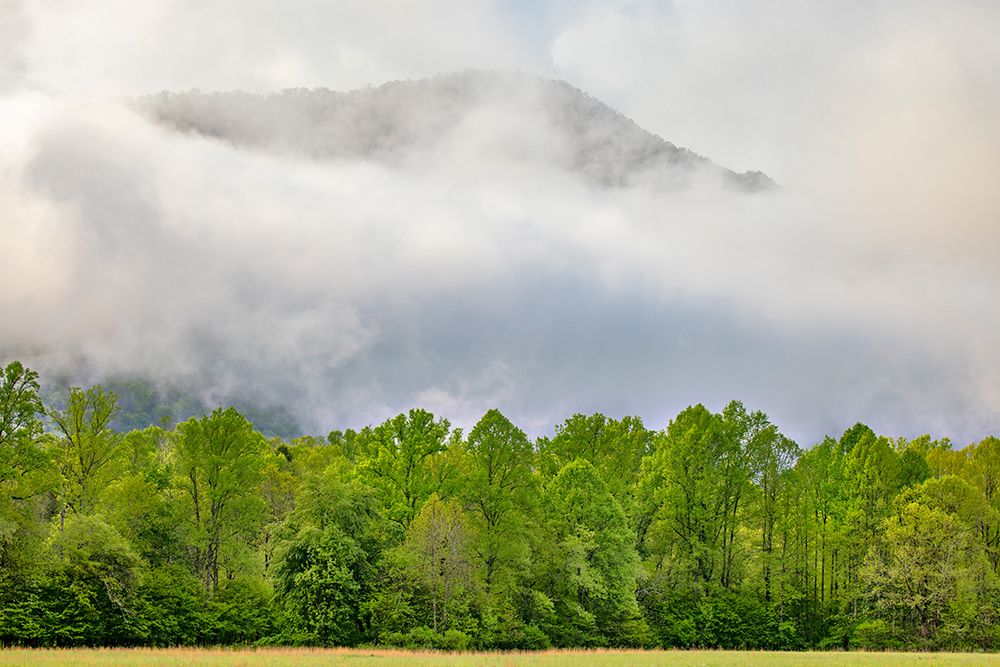 Mountain peak rising in morning mist-Oconaluftee Mtn Farm Museum-Great Smoky Mountains NP-NC art print by Adam Jones for $57.95 CAD