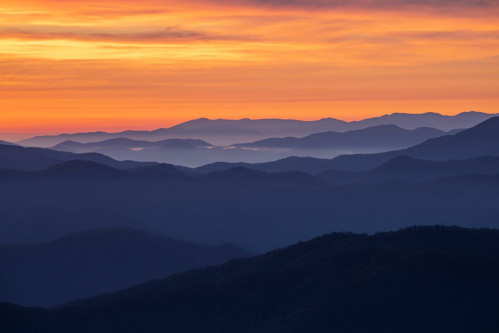 Spring sunrise view of mountains and mist-from Clingmans Dome area-Great Smoky Mountains NP-NC art print by Adam Jones for $57.95 CAD