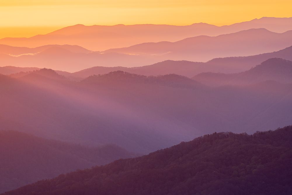 Spring sunrise view of mountains and mist-from Clingmans Dome area-Great Smoky Mountains NP-NC art print by Adam Jones for $57.95 CAD