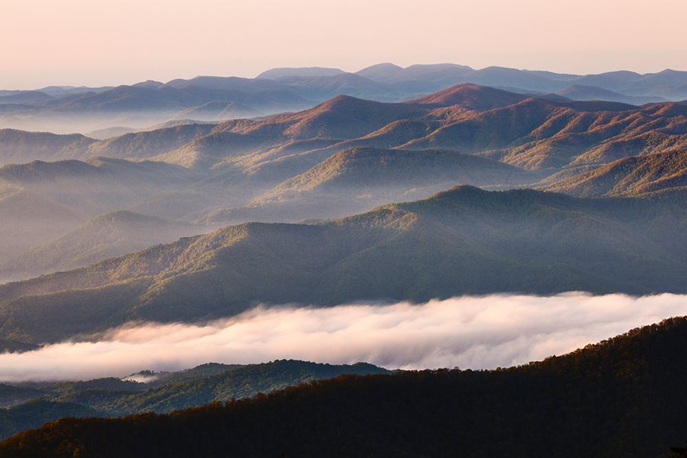 Early morning spring mountains and mist-from Clingmans Dome area-Great Smoky Mountains NP-NC art print by Adam Jones for $57.95 CAD