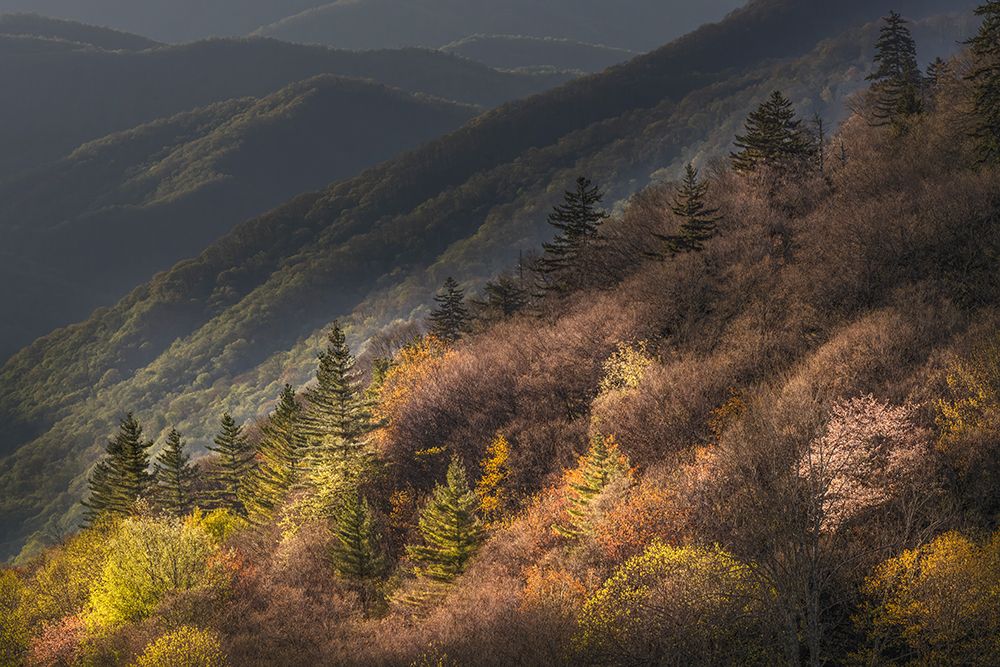 Sunrise, Oconaluftee Valley, Great Smoky Mountains National Park, North Carolina art print by Adam Jones for $57.95 CAD