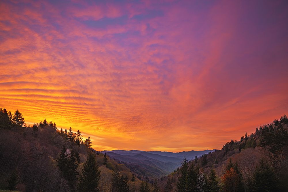 Sunrise, Oconaluftee Valley, Great Smoky Mountains National Park, North Carolina art print by Adam Jones for $57.95 CAD