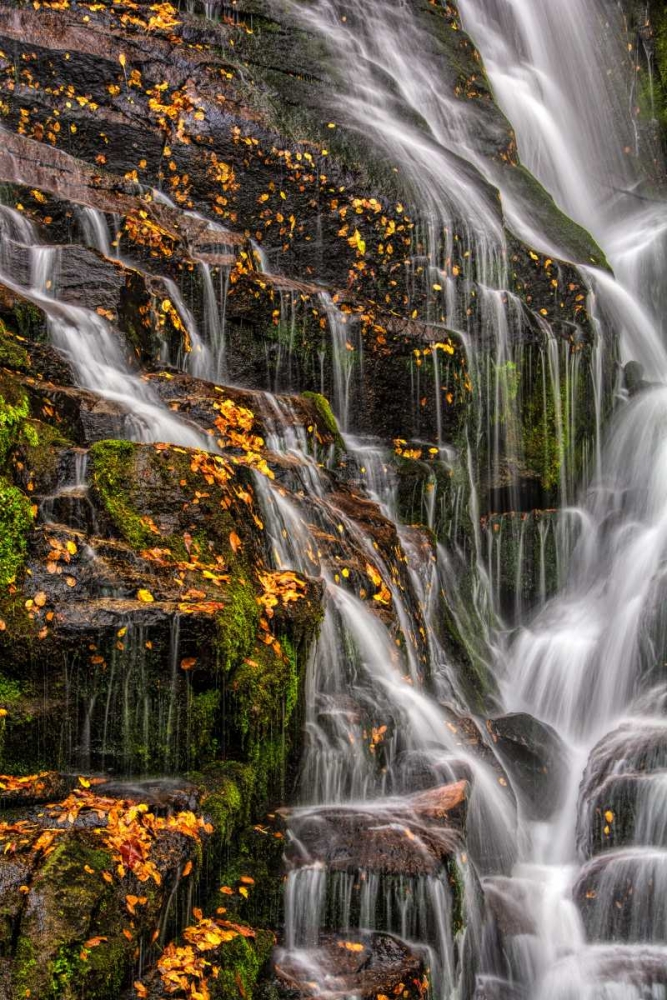 North Carolina, Brevard Waterfall in DuPont SF art print by Jay OBrien for $57.95 CAD