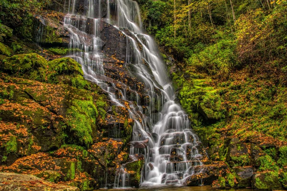 North Carolina, Brevard Waterfall in DuPont SF art print by Jay OBrien for $57.95 CAD