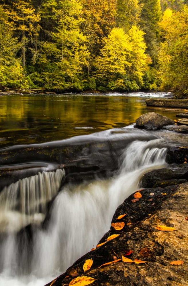 North Carolina, Brevard Landscape in Pisgah NF art print by Jay OBrien for $57.95 CAD