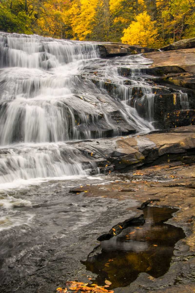 North Carolina, Brevard Waterfall in DuPont SF art print by Jay OBrien for $57.95 CAD