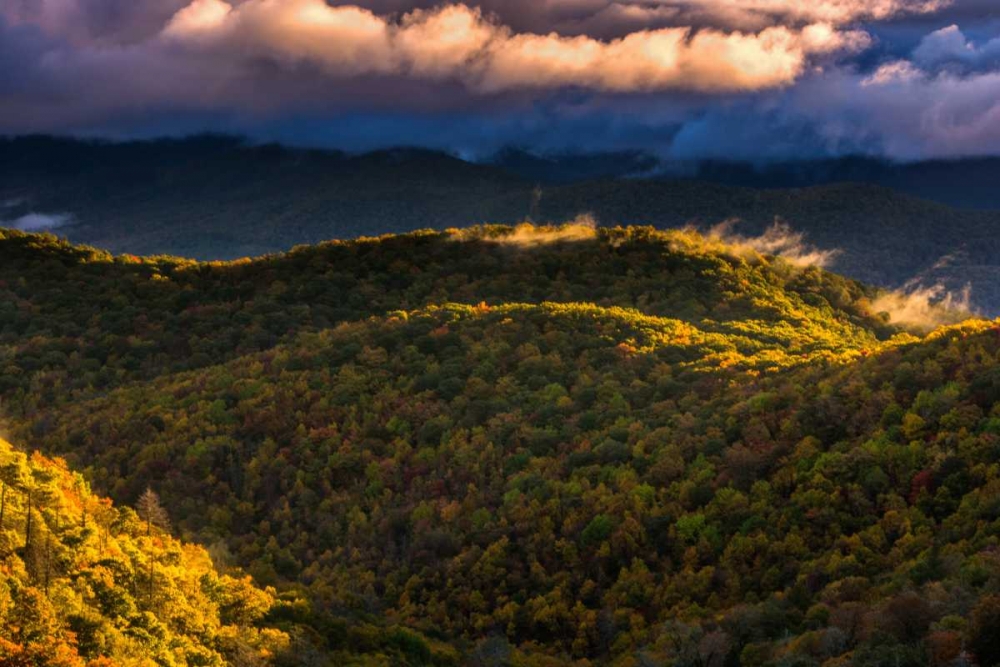 NC, Brevard Autumn landscape in Pisgah NF art print by Jay OBrien for $57.95 CAD