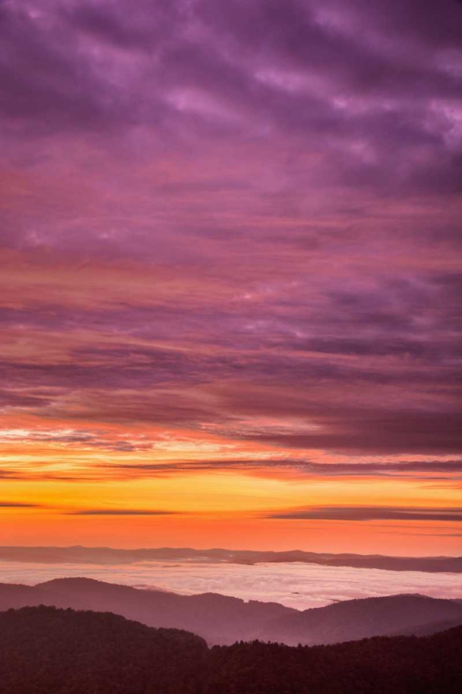 North Carolina, Brevard Landscape in Pisgah NF art print by Jay OBrien for $57.95 CAD