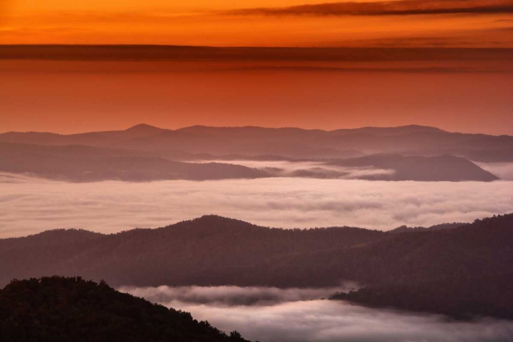 North Carolina, Brevard Landscape in Pisgah NF art print by Jay OBrien for $57.95 CAD