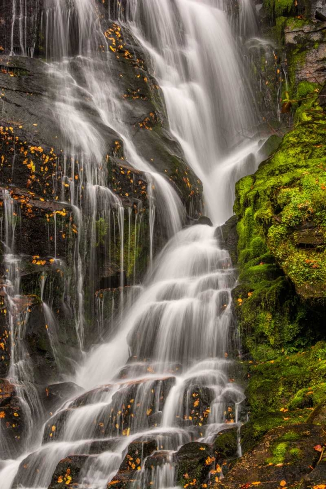 North Carolina, Brevard Waterfall in DuPont SF art print by Jay OBrien for $57.95 CAD