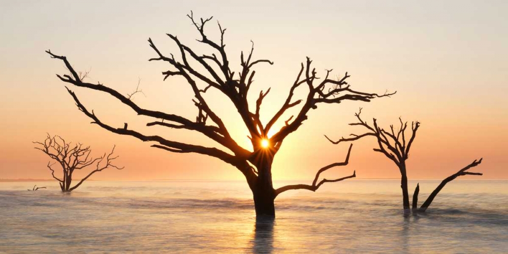 North Carolina Sunrise at Botany Bay Preserve art print by Marie Bush for $57.95 CAD