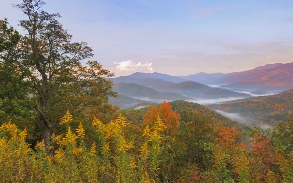 USA, North Carolina Black Mountains overlook art print by Don Paulson for $57.95 CAD