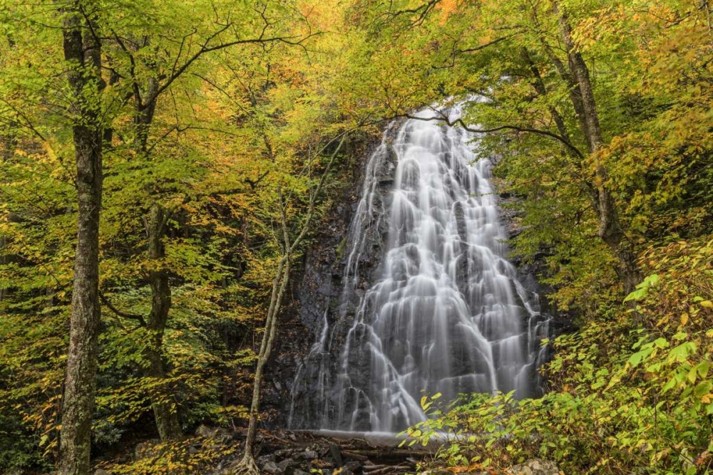 North Carolina, Crabtree Falls in autumn art print by Don Paulson for $57.95 CAD