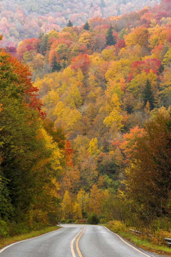 North Carolina Road through autumn forest art print by Don Paulson for $57.95 CAD