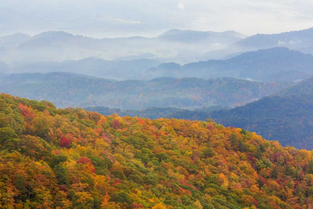 North Carolina, Blue Ridge Parkway Overlook art print by Don Paulson for $57.95 CAD