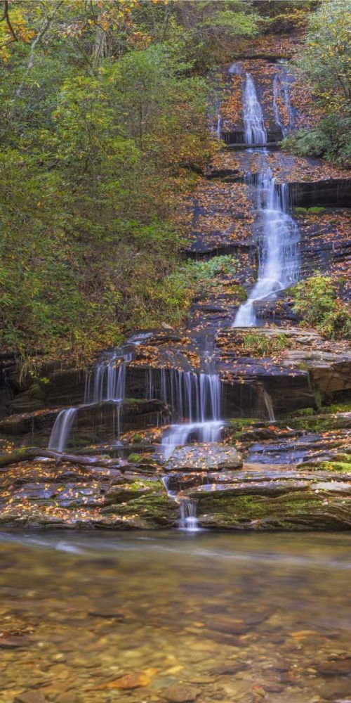 North Carolina, Great Smoky Mts Tom Branch Falls art print by Don Paulson for $57.95 CAD