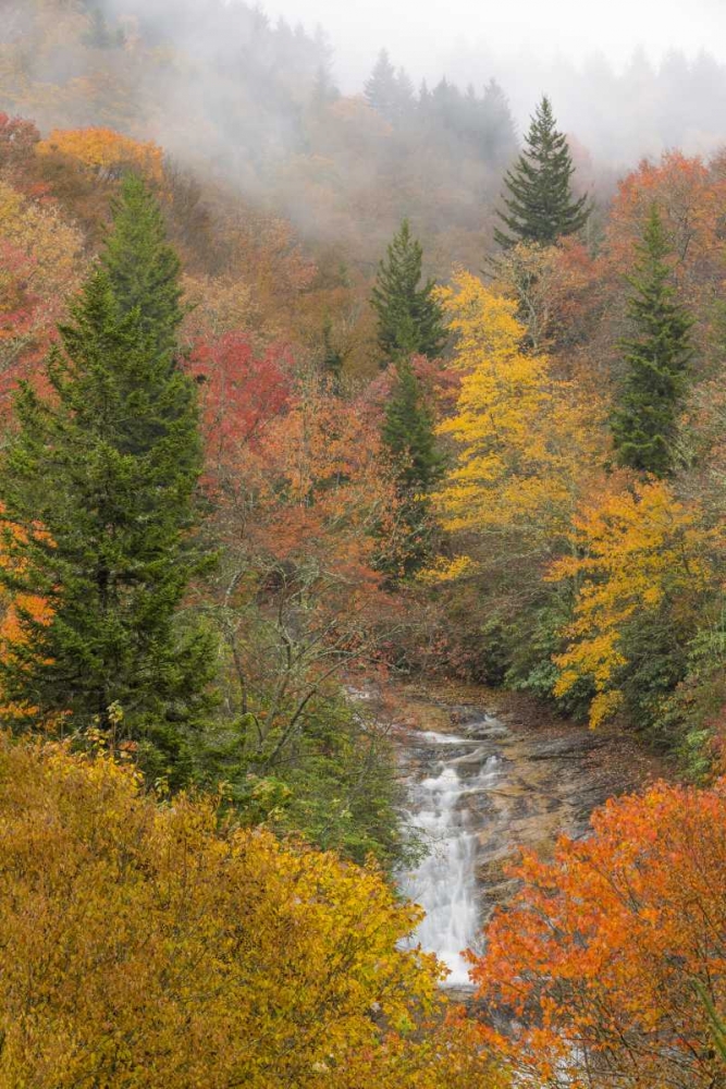 North Carolina, Bubbling Springs Falls in Autumn art print by Don Paulson for $57.95 CAD