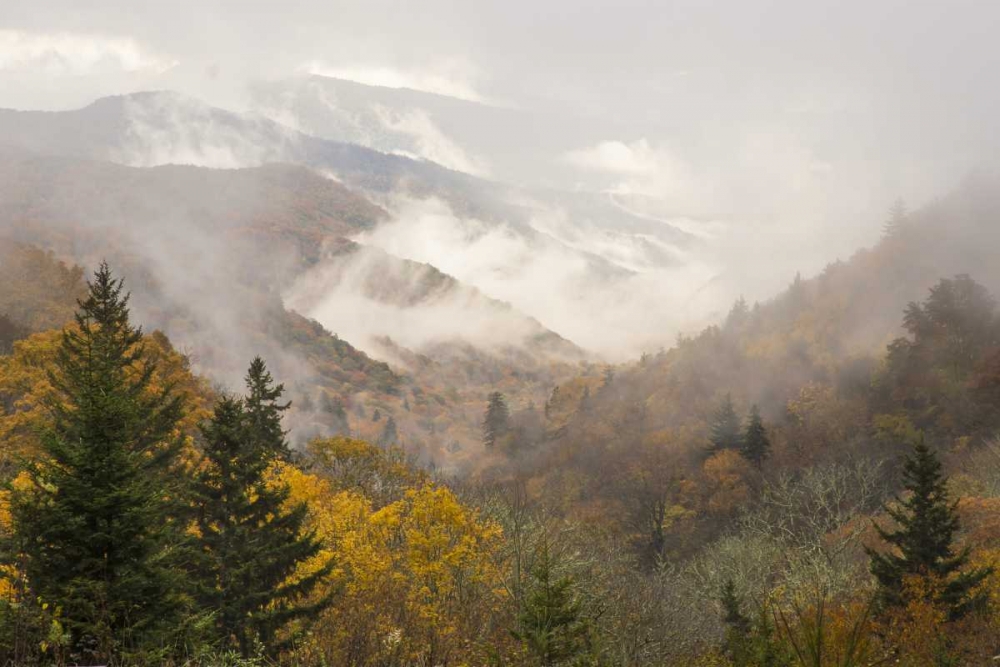North Carolina, Great Smoky Mts Autumn landscape art print by Don Paulson for $57.95 CAD