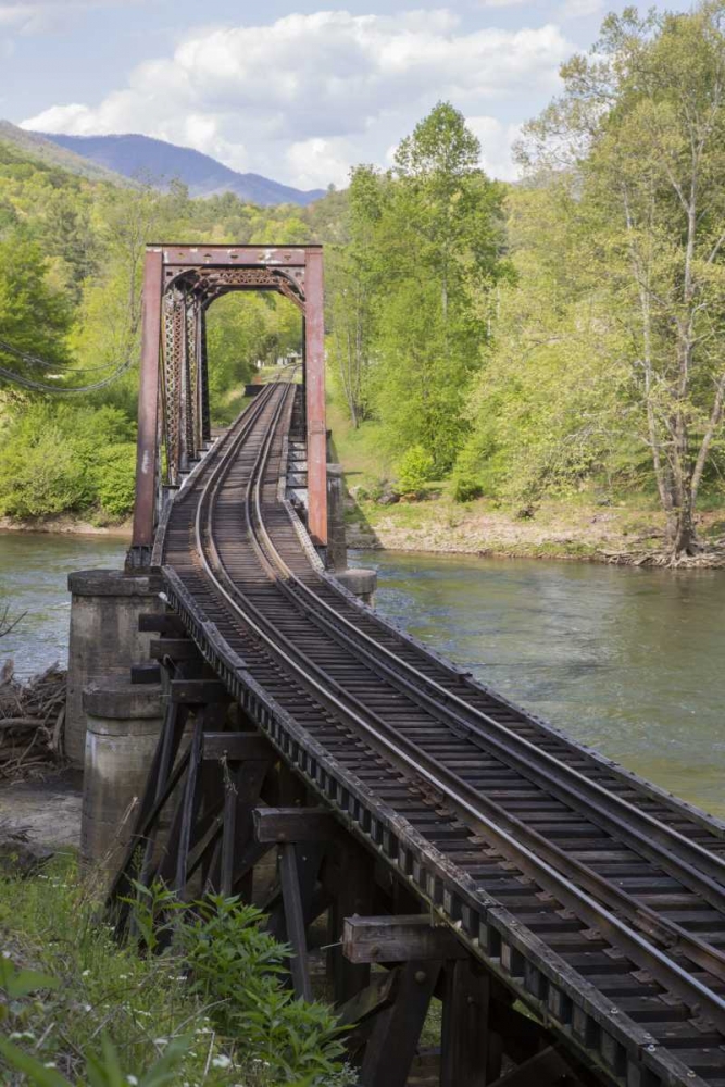 North Carolina Abandoned railroad trestle art print by Don Grall for $57.95 CAD
