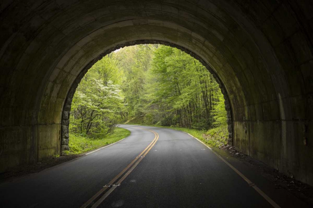 North Carolina Tunnel on the Blue Ridge Parkway art print by Don Grall for $57.95 CAD
