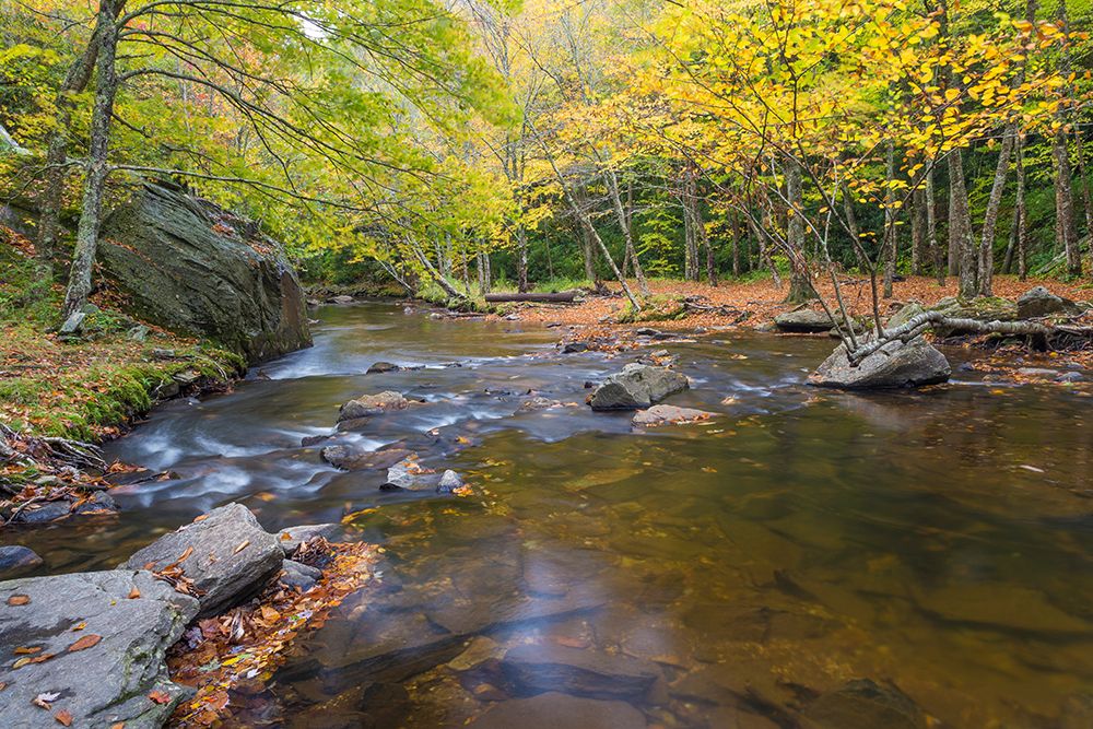 USA, North Carolina, Blue Ridge Parkway. Landscape with stream and forest. art print by Jaynes Gallery for $57.95 CAD
