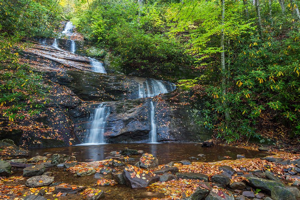 USA, North Carolina, Pisgah National Forest. Landscape with Setrock Creek Falls. art print by Jaynes Gallery for $57.95 CAD