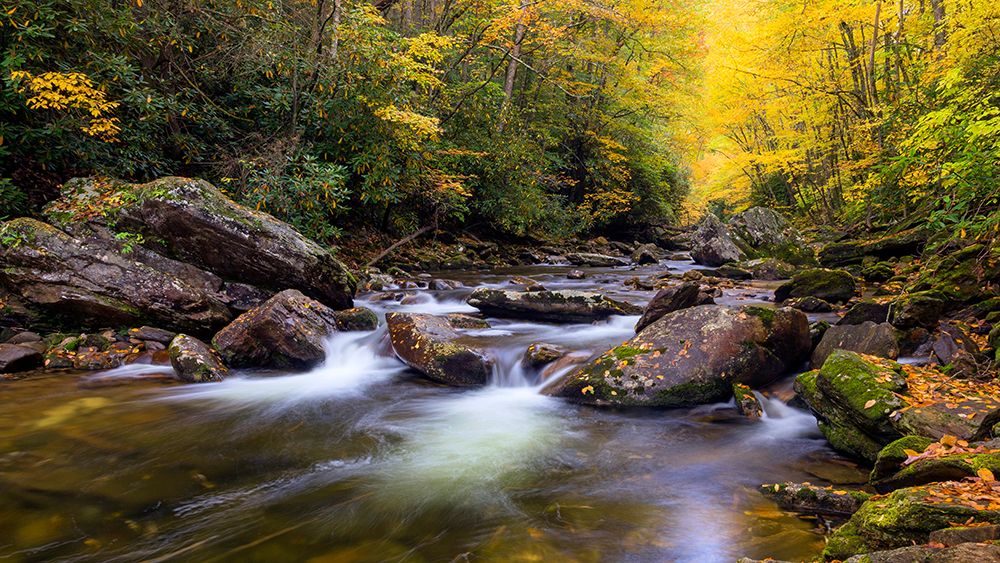 USA, North Carolina. West Fork Pigeon River and forest landscape. art print by Jaynes Gallery for $57.95 CAD