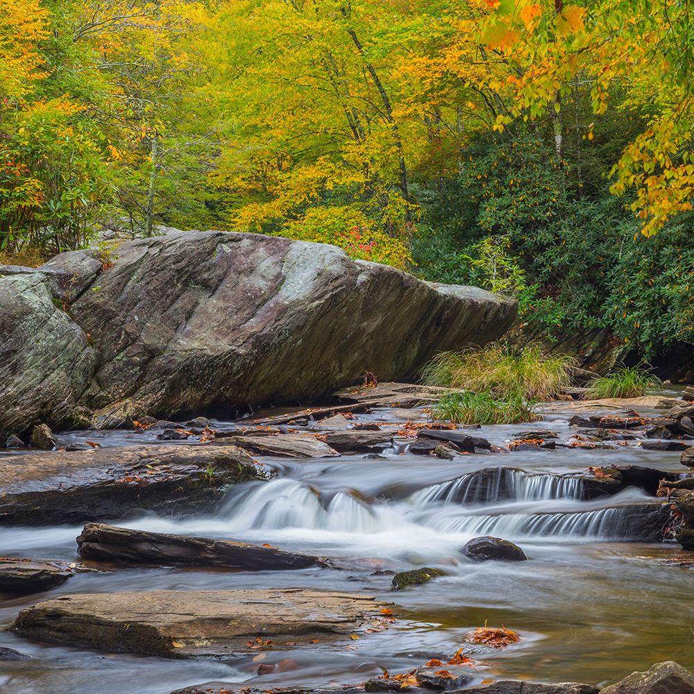 USA, North Carolina, Boone Fork. Forest and stream landscape. art print by Jaynes Gallery for $57.95 CAD