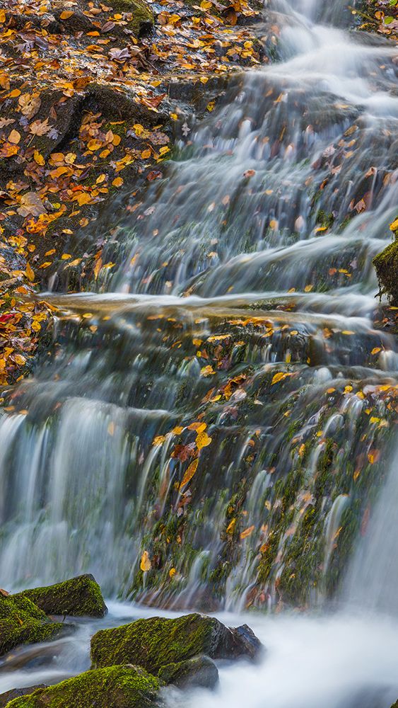 USA, North Carolina, Great Smoky Mountains. Indian Creek Falls waterfall. art print by Jaynes Gallery for $57.95 CAD