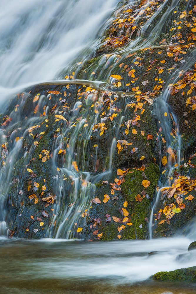 USA, North Carolina, Great Smoky Mountains. Indian Creek Falls waterfall. art print by Jaynes Gallery for $57.95 CAD