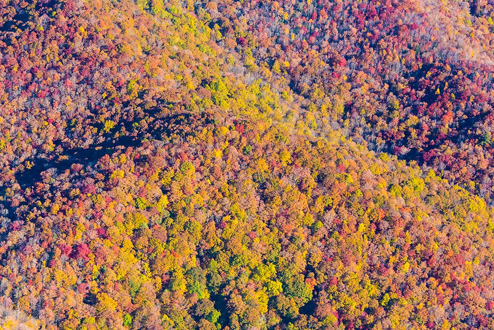 USA, North Carolina. Aerial fall color Appalachian Mountains art print by Trish Drury for $57.95 CAD