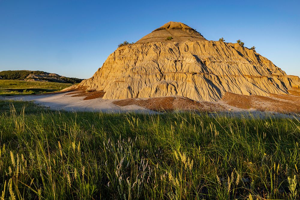 Sunrise in the Jones Creek area in Theodore Roosevelt National Park, North Dakota, USA. art print by Chuck Haney for $57.95 CAD