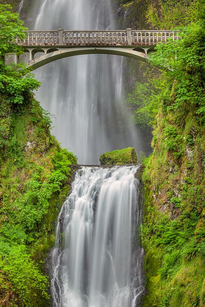 Multnomah Falls-Columbia River Gorge-Oregon art print by Adam Jones for $57.95 CAD