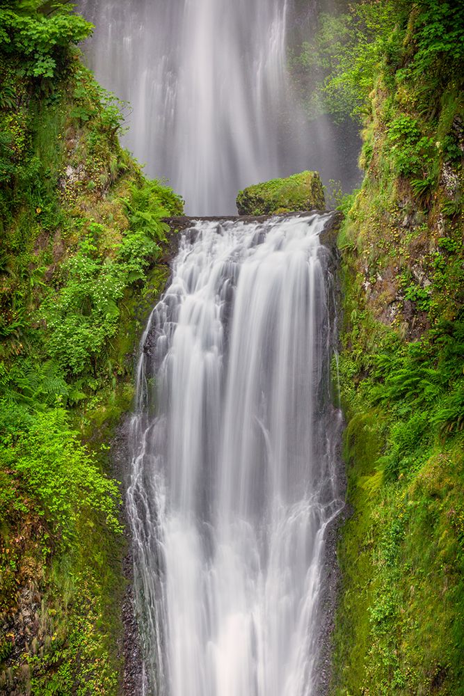 Multnomah Falls-Columbia River Gorge-Oregon art print by Adam Jones for $57.95 CAD