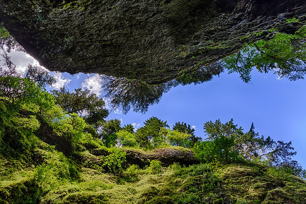 Upward view from bottom of Oneonta Gorge-Columbia River Gorge National Scenic Area-Oregon art print by Adam Jones for $57.95 CAD