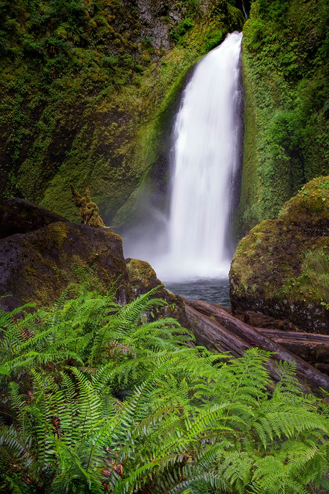 Wahclella Falls along Tanner Creek-Columbia River Gorge-Oregon art print by Adam Jones for $57.95 CAD