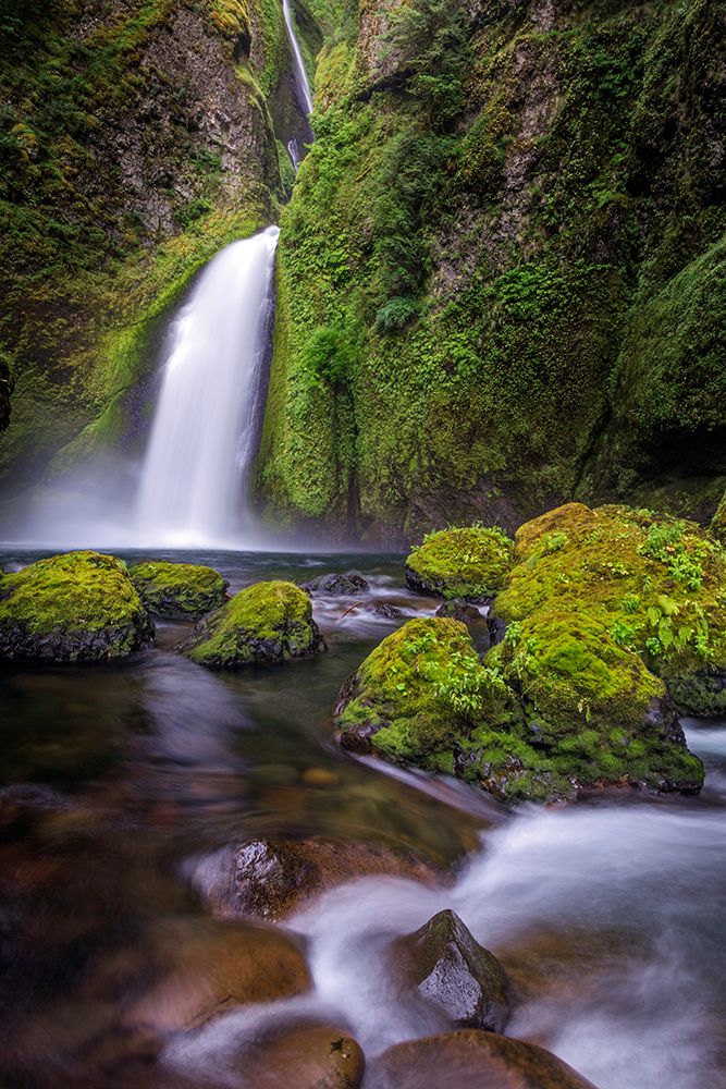 Wahclella Falls along Tanner Creek-Columbia River Gorge-Oregon art print by Adam Jones for $57.95 CAD