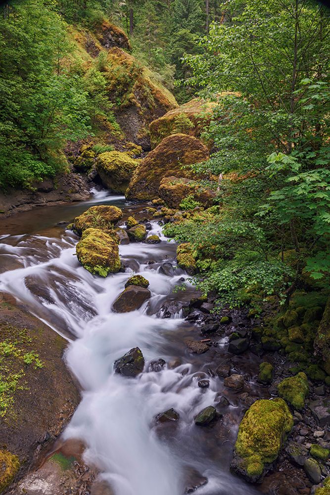 Tanner Creek-Columbia River Gorge-Oregon art print by Adam Jones for $57.95 CAD