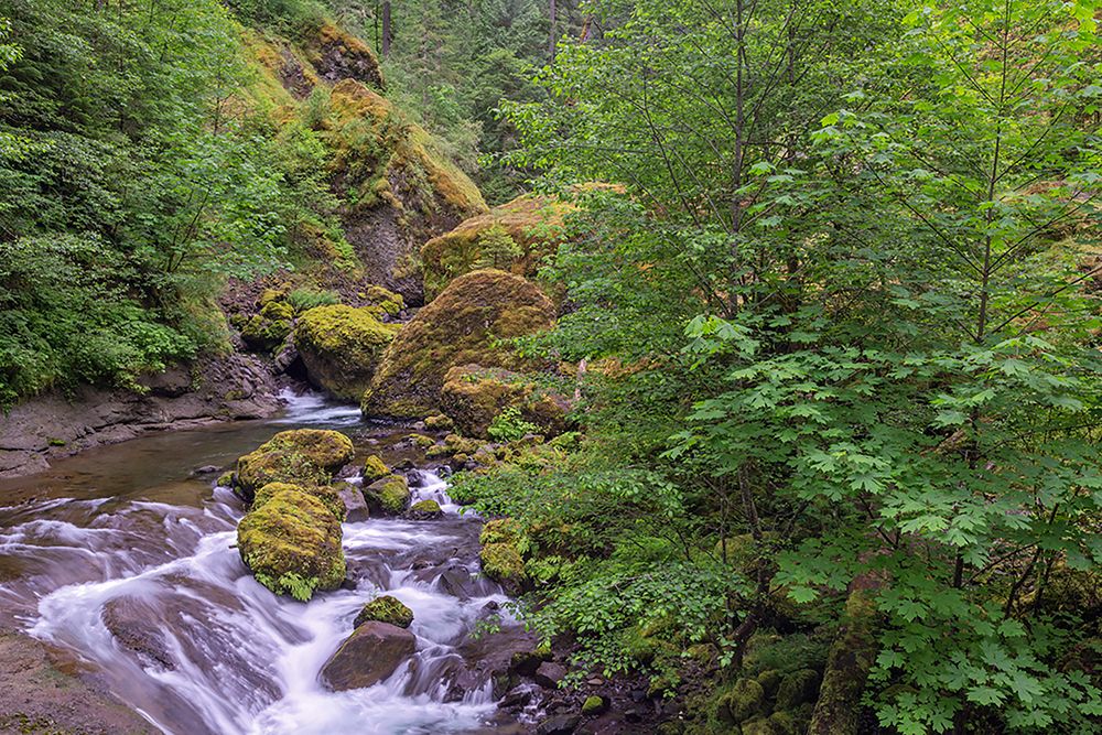Tanner Creek-Columbia River Gorge-Oregon art print by Adam Jones for $57.95 CAD