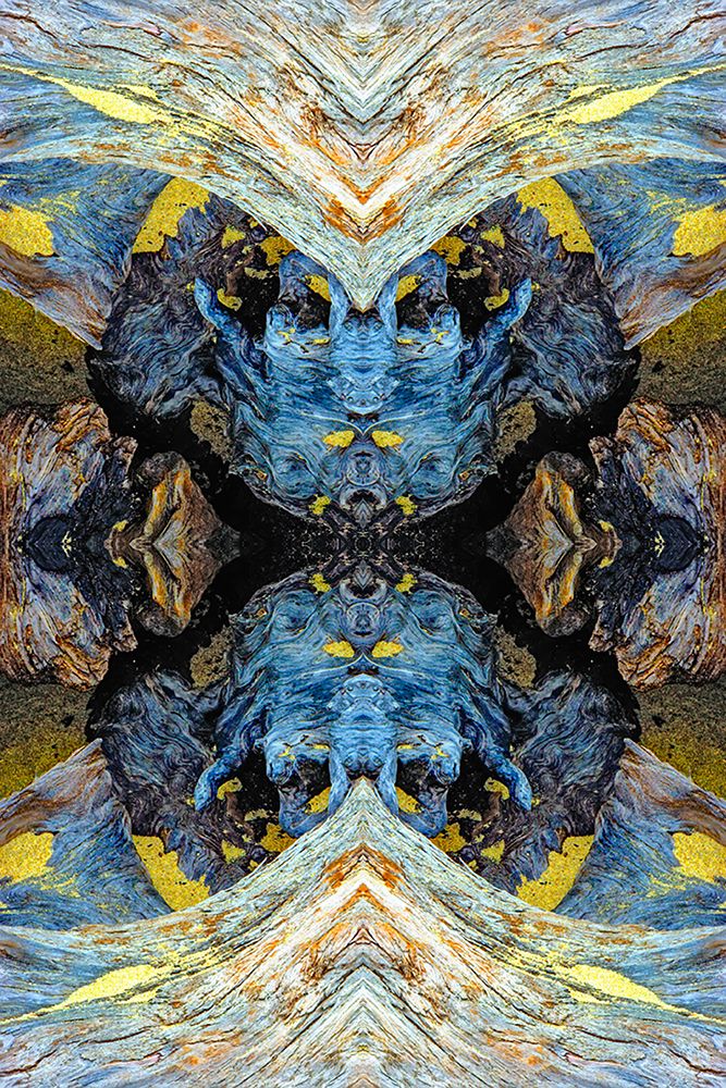 Abstract pattern in driftwood-Bandon Beach-Oregon art print by Adam Jones for $57.95 CAD
