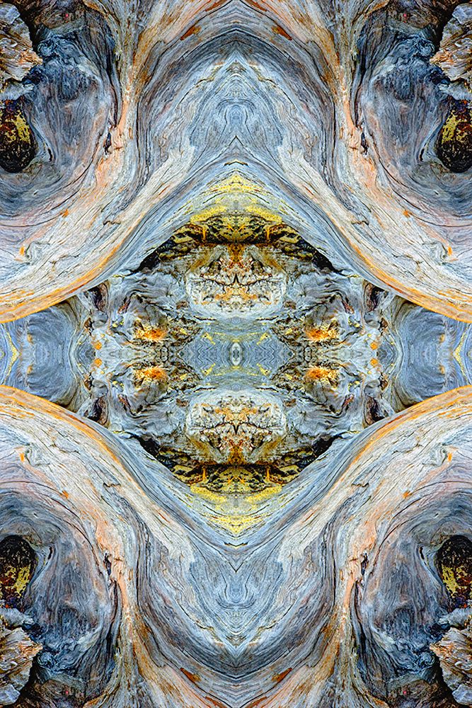 Abstract pattern in driftwood-Bandon Beach-Oregon art print by Adam Jones for $57.95 CAD